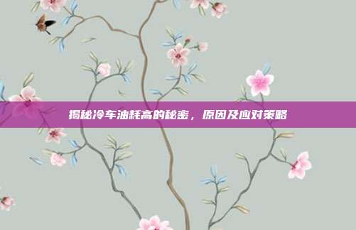 揭秘冷车油耗高的秘密，原因及应对策略