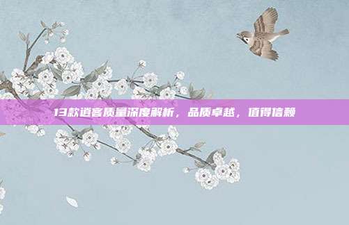 13款逍客质量深度解析，品质卓越，值得信赖