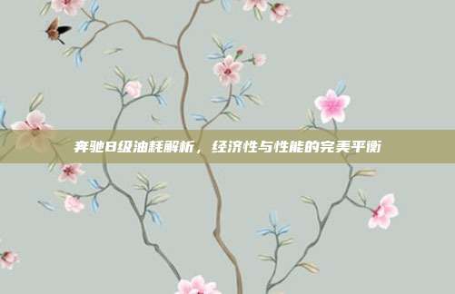 奔驰B级油耗解析，经济性与性能的完美平衡