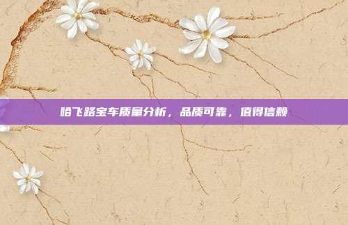哈飞路宝车质量分析，品质可靠，值得信赖