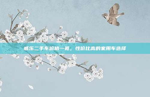 威乐二手车价格一览，性价比高的家用车选择