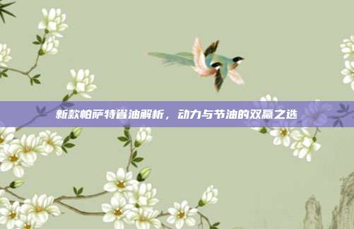 新款帕萨特省油解析，动力与节油的双赢之选