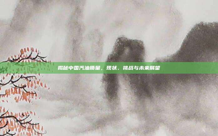 揭秘中国汽油质量，现状、挑战与未来展望