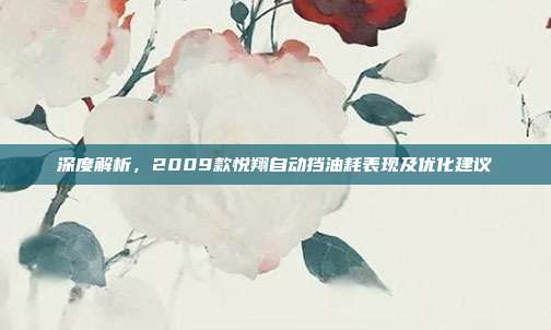 深度解析，2009款悦翔自动挡油耗表现及优化建议