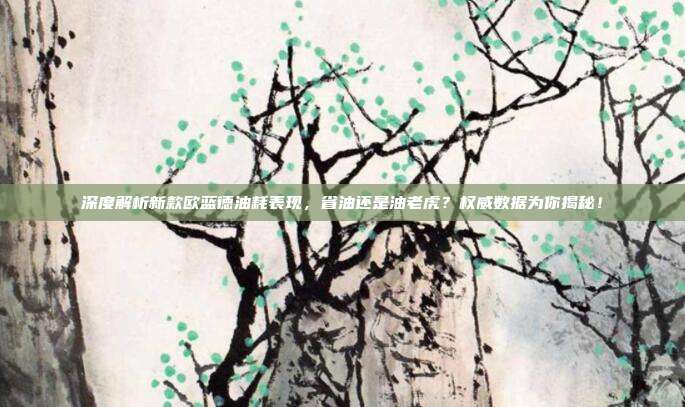 深度解析新款欧蓝德油耗表现，省油还是油老虎？权威数据为你揭秘！