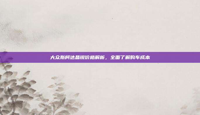 大众斯柯达晶锐价格解析，全面了解购车成本