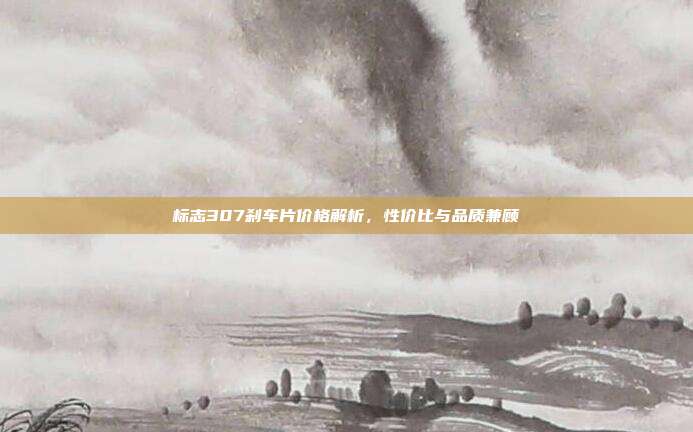 标志307刹车片价格解析，性价比与品质兼顾