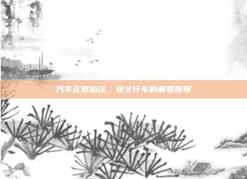 汽车正常胎压，安全行车的重要保障