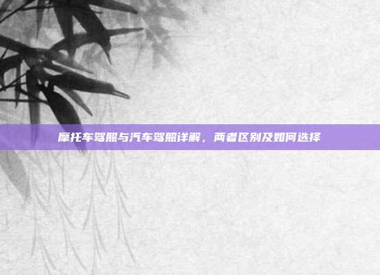 摩托车驾照与汽车驾照详解，两者区别及如何选择