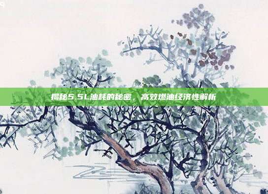 揭秘5.5L油耗的秘密，高效燃油经济性解析