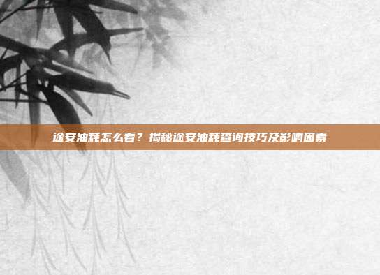 途安油耗怎么看？揭秘途安油耗查询技巧及影响因素
