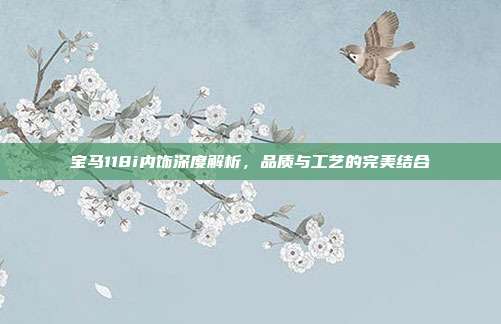 宝马118i内饰深度解析,品质与工艺的完美结合