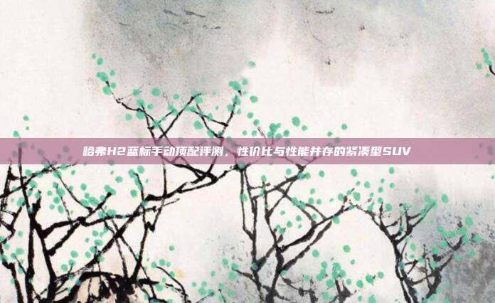 哈弗H2蓝标手动顶配评测，性价比与性能并存的紧凑型SUV