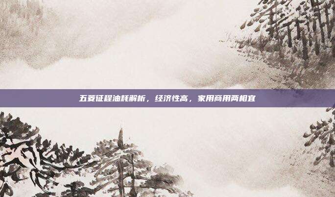 五菱征程油耗解析,经济性高,家用商用两相宜