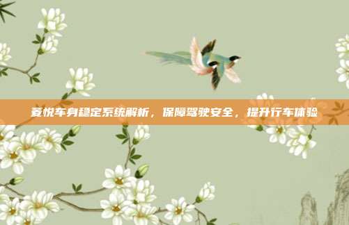 菱悦车身稳定系统解析,保障驾驶安全,提升行车体验