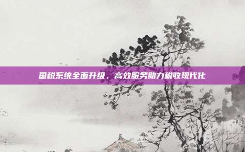 国税系统全面升级,高效服务助力税收现代化