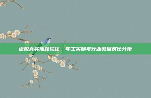 途锐真实油耗揭秘，车主实测与行业数据对比分析
