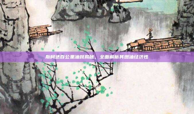 斯柯达百公里油耗揭秘，全面解析其燃油经济性
