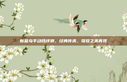 新蓝鸟手动挡评测，经典传承，驾驭之美再现