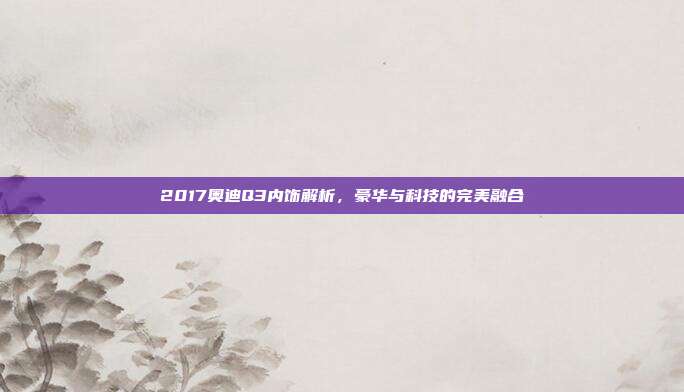 2017奥迪Q3内饰解析，豪华与科技的完美融合