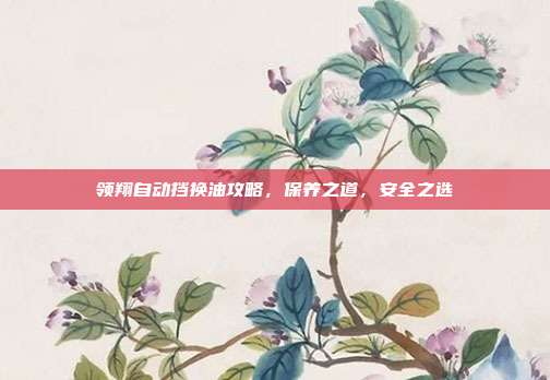 领翔自动挡换油攻略，保养之道，安全之选