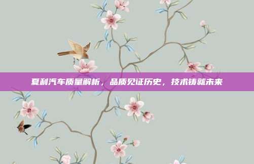 夏利汽车质量解析，品质见证历史，技术铸就未来