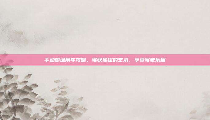 手动朗逸用车攻略，驾驭操控的艺术，享受驾驶乐趣