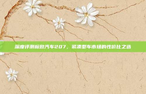 深度评测标致汽车207，紧凑型车市场的性价比之选