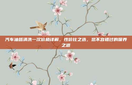 汽车油路清洗一次价格详解，性价比之选，您不容错过的保养之道
