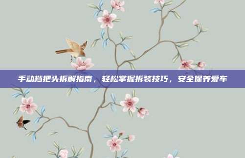 手动档把头拆解指南，轻松掌握拆装技巧，安全保养爱车