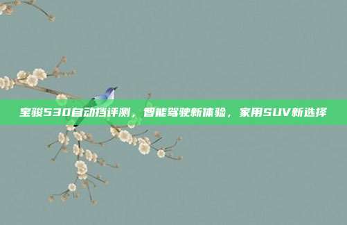 宝骏530自动挡评测，智能驾驶新体验，家用SUV新选择