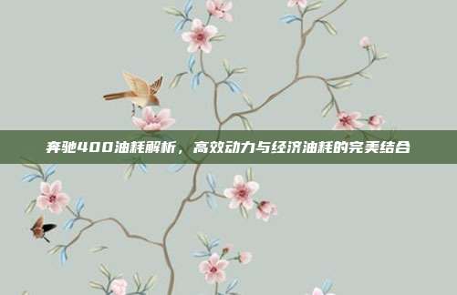 奔驰400油耗解析，高效动力与经济油耗的完美结合