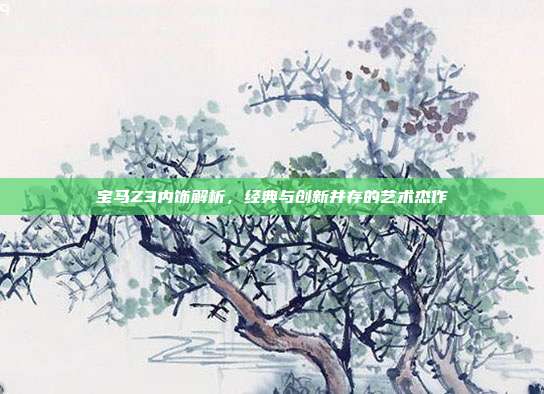 宝马Z3内饰解析，经典与创新并存的艺术杰作