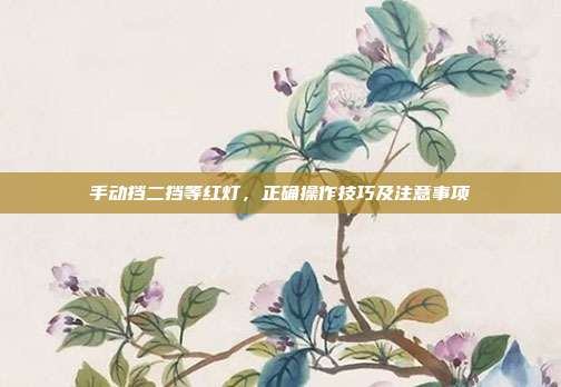 手动挡二挡等红灯，正确操作技巧及注意事项