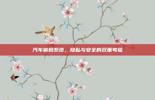 汽车偷拍系统，隐私与安全的双重考验