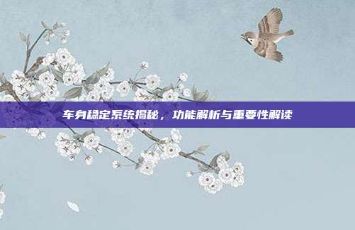 车身稳定系统揭秘，功能解析与重要性解读