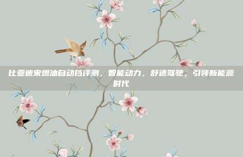 比亚迪宋燃油自动挡评测，智能动力，舒适驾驶，引领新能源时代