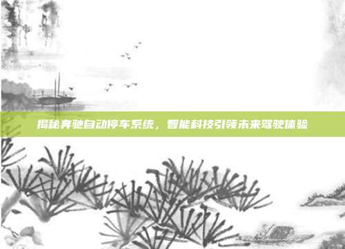 揭秘奔驰自动停车系统，智能科技引领未来驾驶体验