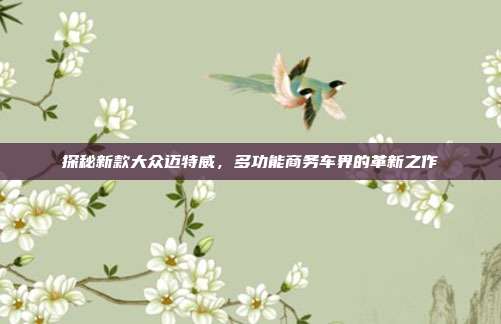 探秘新款大众迈特威，多功能商务车界的革新之作