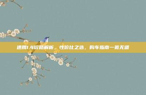 速腾1.4价格解析，性价比之选，购车指南一览无遗