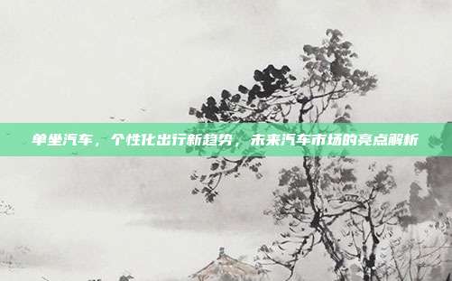 单坐汽车，个性化出行新趋势，未来汽车市场的亮点解析