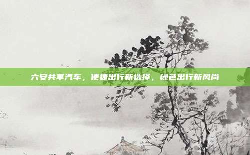 六安共享汽车，便捷出行新选择，绿色出行新风尚