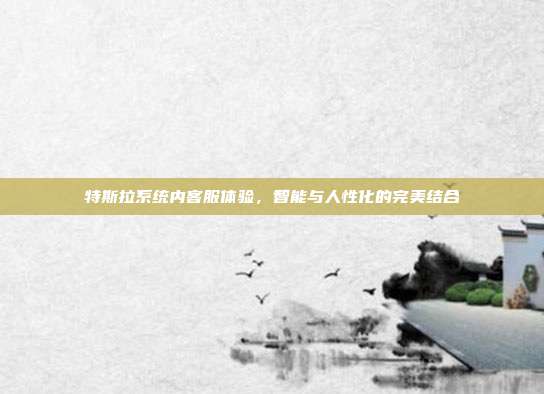 特斯拉系统内客服体验，智能与人性化的完美结合
