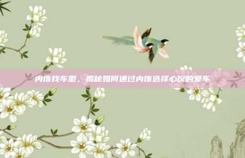 内饰找车型，揭秘如何通过内饰选择心仪的爱车
