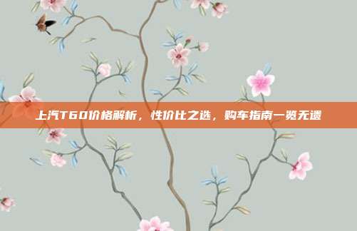 上汽T60价格解析，性价比之选，购车指南一览无遗