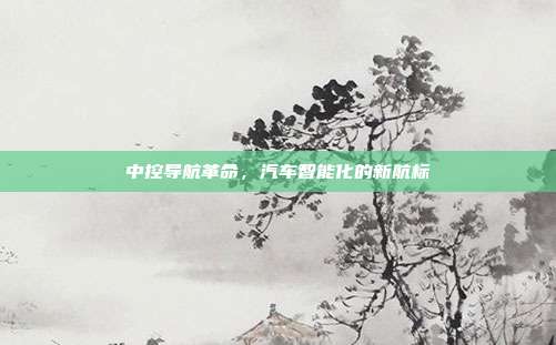 中控导航革命，汽车智能化的新航标