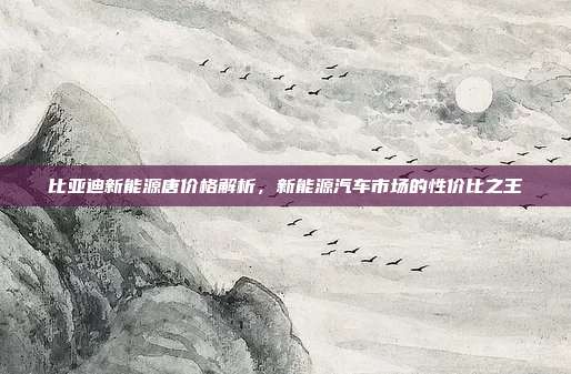 比亚迪新能源唐价格解析，新能源汽车市场的性价比之王