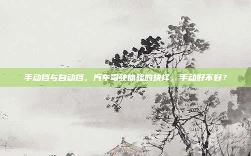 手动挡与自动挡，汽车驾驶体验的抉择，手动好不好？