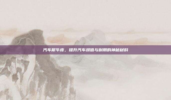 汽车犀牛皮，提升汽车颜值与耐用的神秘材料