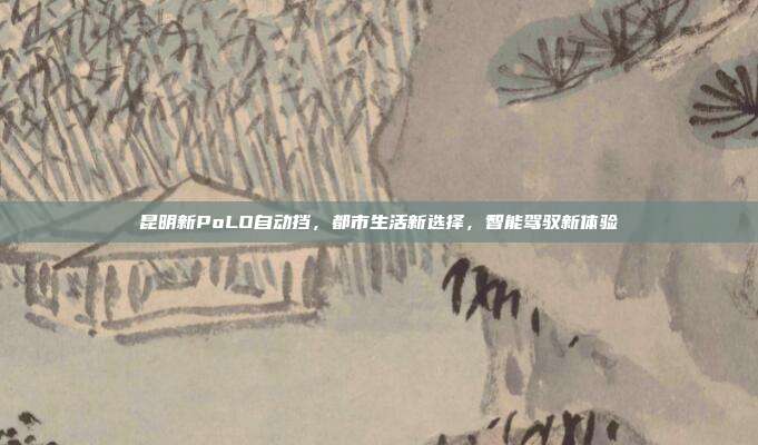 昆明新PoLO自动挡，都市生活新选择，智能驾驭新体验